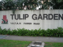 Tulip Garden (Enbloc) #1062952